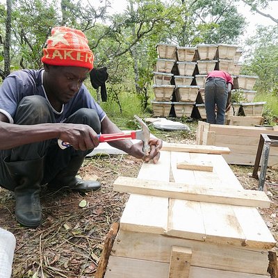 Installing Beehives to Reduce Poverty africa agency news environment poverty ten million trees weforest