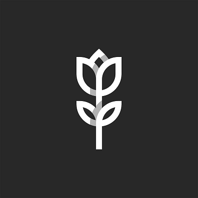 A Tulip Flower beauty salon boutique feminine symbol flower logo graphic design illustration linear lines art lines pattern logo design minimal design minimal logo monoline plant logo tulip flower tulip logo