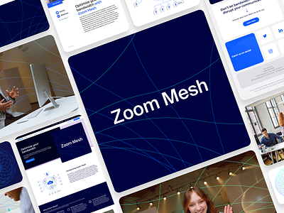 Zoom Mesh Visual Assets branding graphic design mesh radial