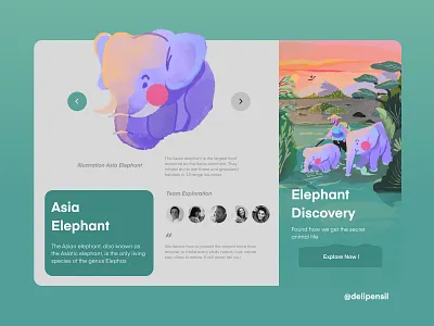 Elephant Discovery Dashboard animal dashboard discovery elephant exploration