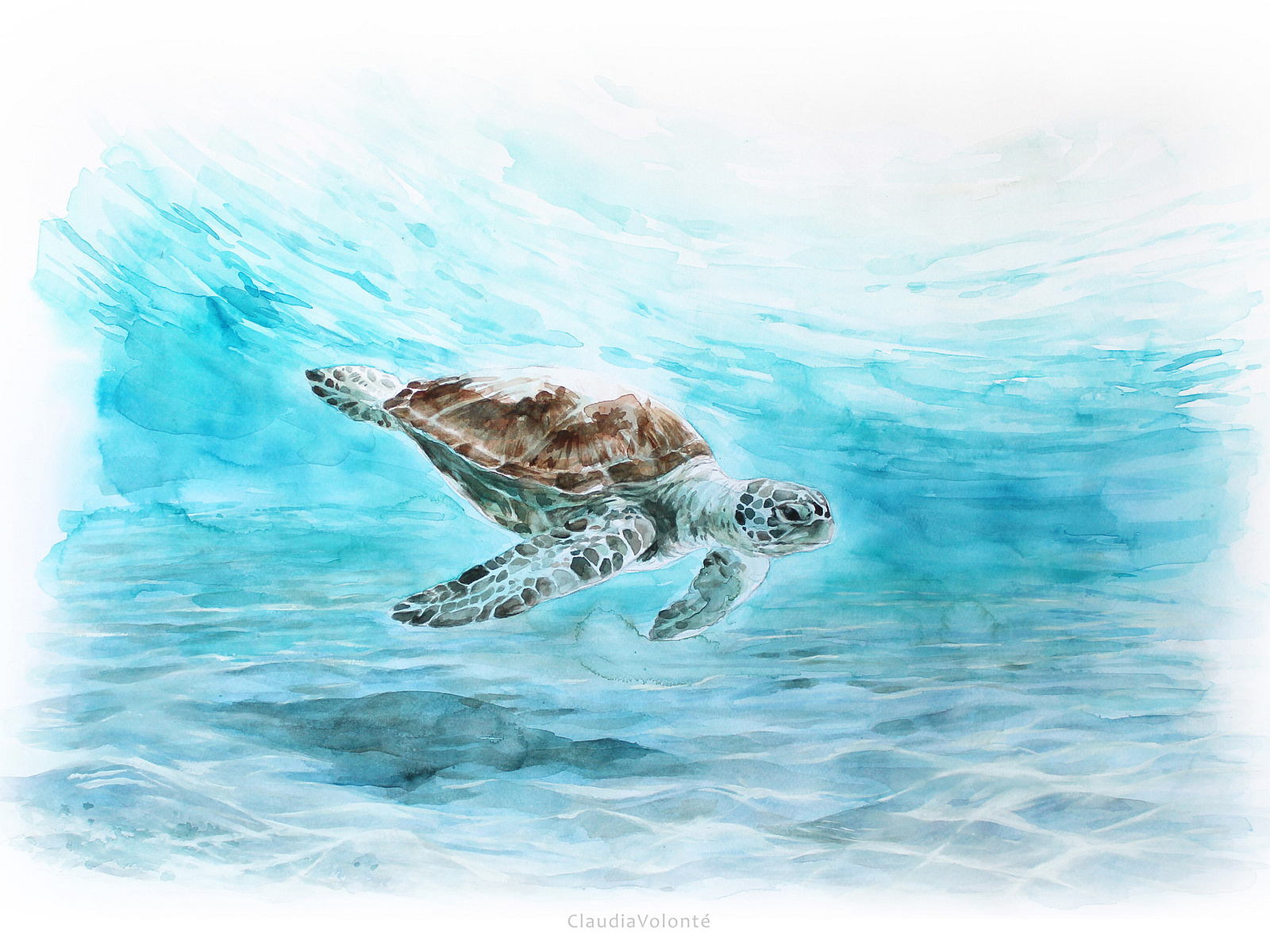 green turtle painting