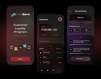 StormBorn App | Earn while you Pay. app branding design earn graphic design illustration logo manage money progress reward typography ui ux vector
