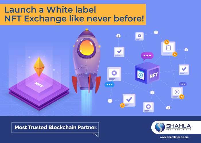 NFT Exchange Platform Development by Linda Gardner on Dribbble