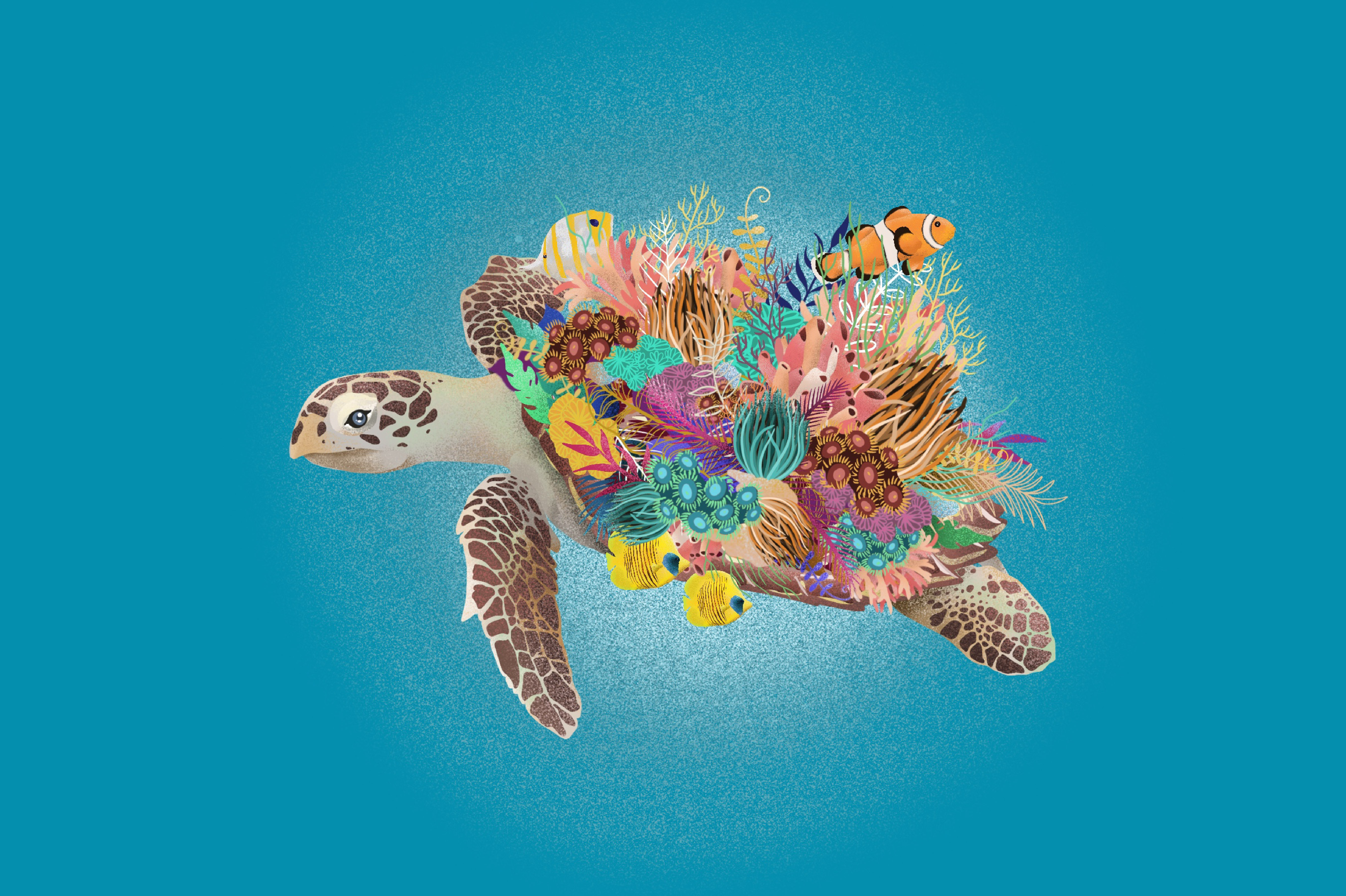 Turtle Art designs, themes, templates and downloadable graphic elements ...