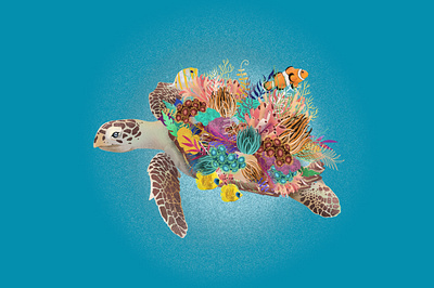 Turtle Reef activism art activism illustration animal illustration book cover design climate change climate illustration coral reef digital art digital artwork digital illustration education illustration fish illustration ocean illustration reef turtle turtle art wildlife art wildlife illustration