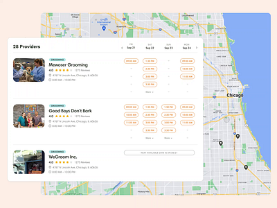 Map interaction in the catalog of GoodFriend animation interaction microinteraction ui userflow ux