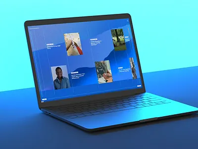 Timeline for CGR Website ui ux web development