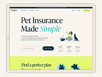 Figo Website Homepage Design animation ui ux website design