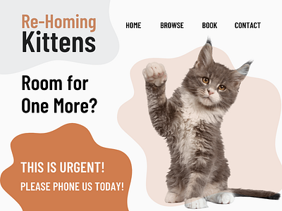 Cat Care Website Mockup branding canva design elementor