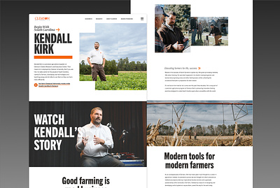 Begin with South Carolina, Kendall Kirk branding higher education storytelling ux web design