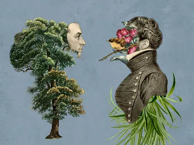 Portrait Surrealism collage design digital art digital collage floral graphic design illustration photoshop portrait surrealism vintage