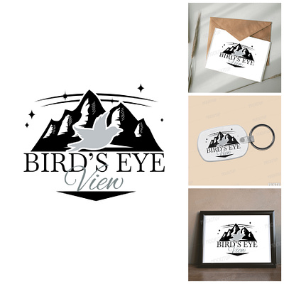 Birds Eye View Logo Samples app branding design graphic design illustration logo typography ui ux vector