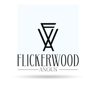 Flickerwood logo 3d app branding design graphic design illustration logo typography ui ux vector