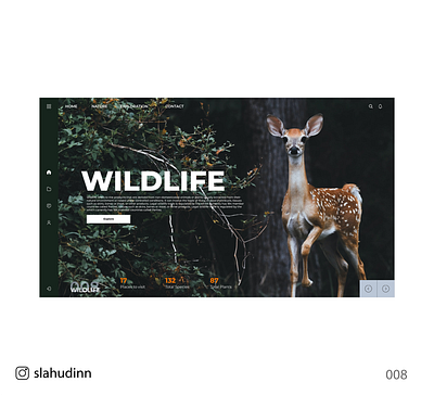 Wildlife UI design app app design graphic design ui uiux web design webdesign