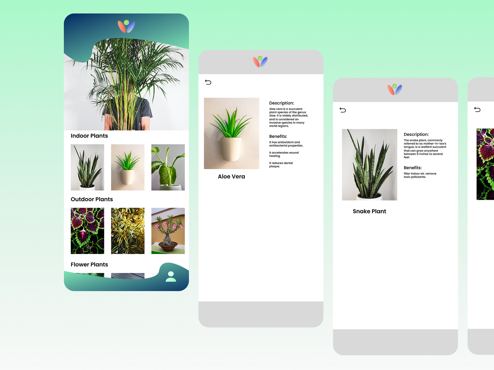 plant-description-ui-design-by-aa-designer-on-dribbble