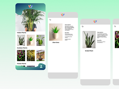 PLANT DESCRIPTION UI DESIGN animation figma plant app plant description plant ui design ui ui design ux