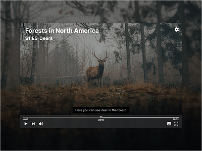 DailyUI #057 Video Player brown daily ui dailyui dark forest movie player video video player