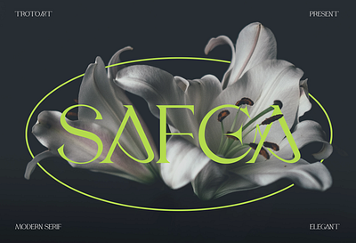 Safea Font branding design elegant font graphic design illustration landing page logo modern ui