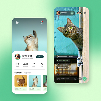 Catspire : Social Media for Cats app appdesign cat cats colourscheme design interaction design socialmedia ui