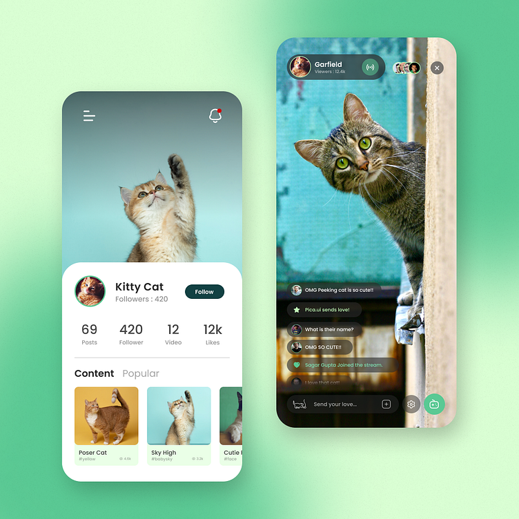 Catspire : Social Media for Cats by Sagar Gupta on Dribbble