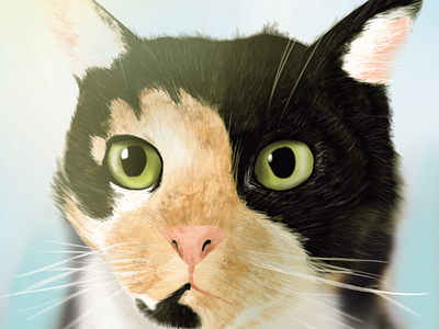 Cute Cat art commision art digital art drawing fanart illustration illustrator