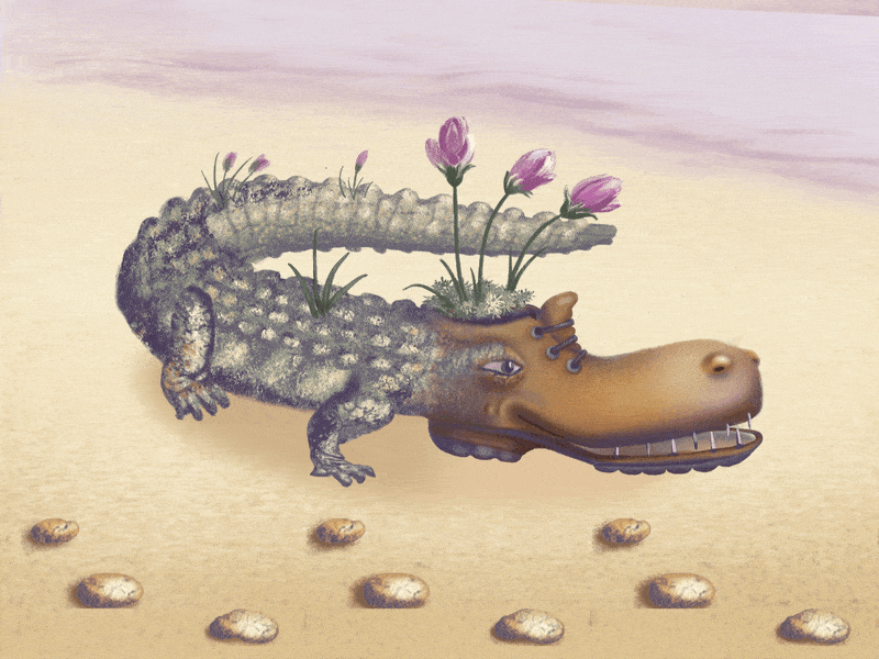 Flower crocodile-boot crawling adobe after effects animation boot crocodile flowers illustration motion graphics procreate sand stones