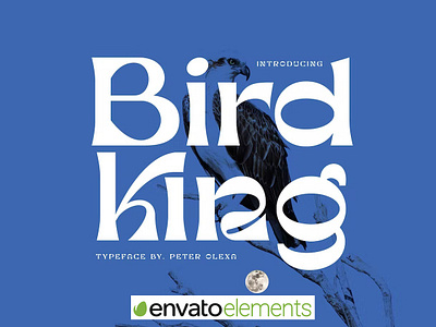 Bird King Retro Serif Font calligraphy display display font font font family fonts ios landing page lettering logo sans serif sans serif font sans serif typeface script serif serif font type typedesign typeface typography