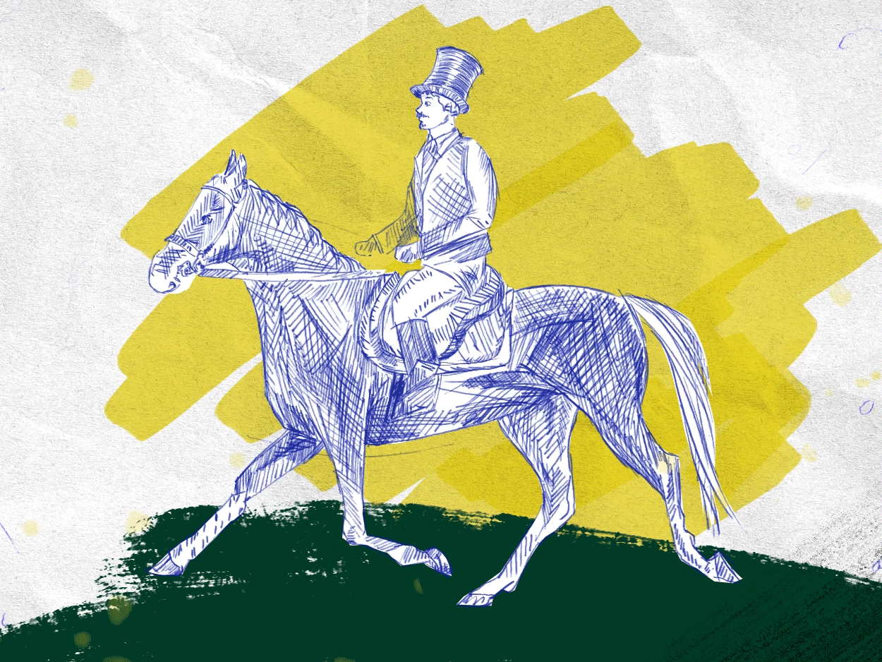 Horse 2 d animation after effects aniamted gif animation gif horse illustration motion graphics