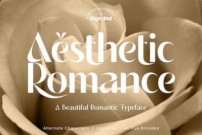 Aesthetic Romance Font calligraphy display display font font font family fonts fonts collection hand lettering lettering logo sans serif sans serif font sans serif typeface script serif serif font type typedesign typeface typography