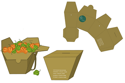 Eco Veg packaging branding design graphic design illustration logo ux