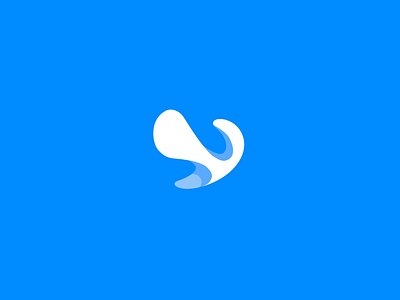 Caisy – Pre-loading loop alexgoo animated logo branding logo animation logotype