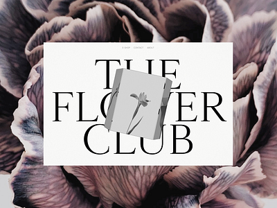 THE FLOWER CLUB — HOME 3d animation design editorial motion design motion graphics ui ux web design