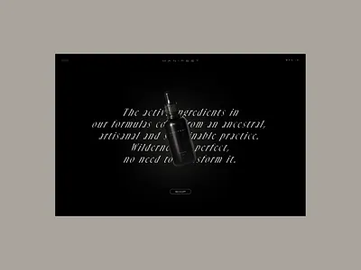 MANIFEST — WEBSITE (1) design digital design graphic design ui ui design web design