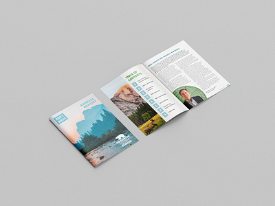 Yosemite Mock Annual Report design graphic design typography