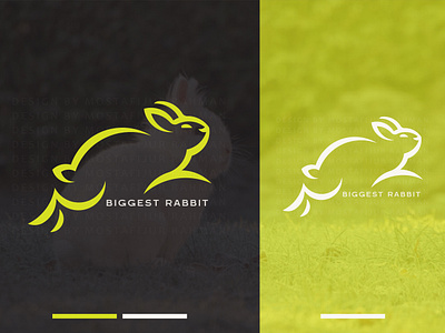 Rabbit logo design animal logo animals branding bunny bunnylover bunnyrabbit creative logo custom logo design graphic design illustration logo modern logo professional logo rabbit rabbit hole rabbit logo rabbitlove rabbits unique logo