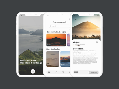 Trailblazer- Hiking Trip App concept app figma hiking mobiledesign mountain mountainers travel travelapp ui uiux