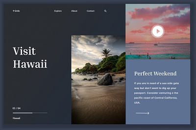 Hawaii Web UI design graphic design illustration ui