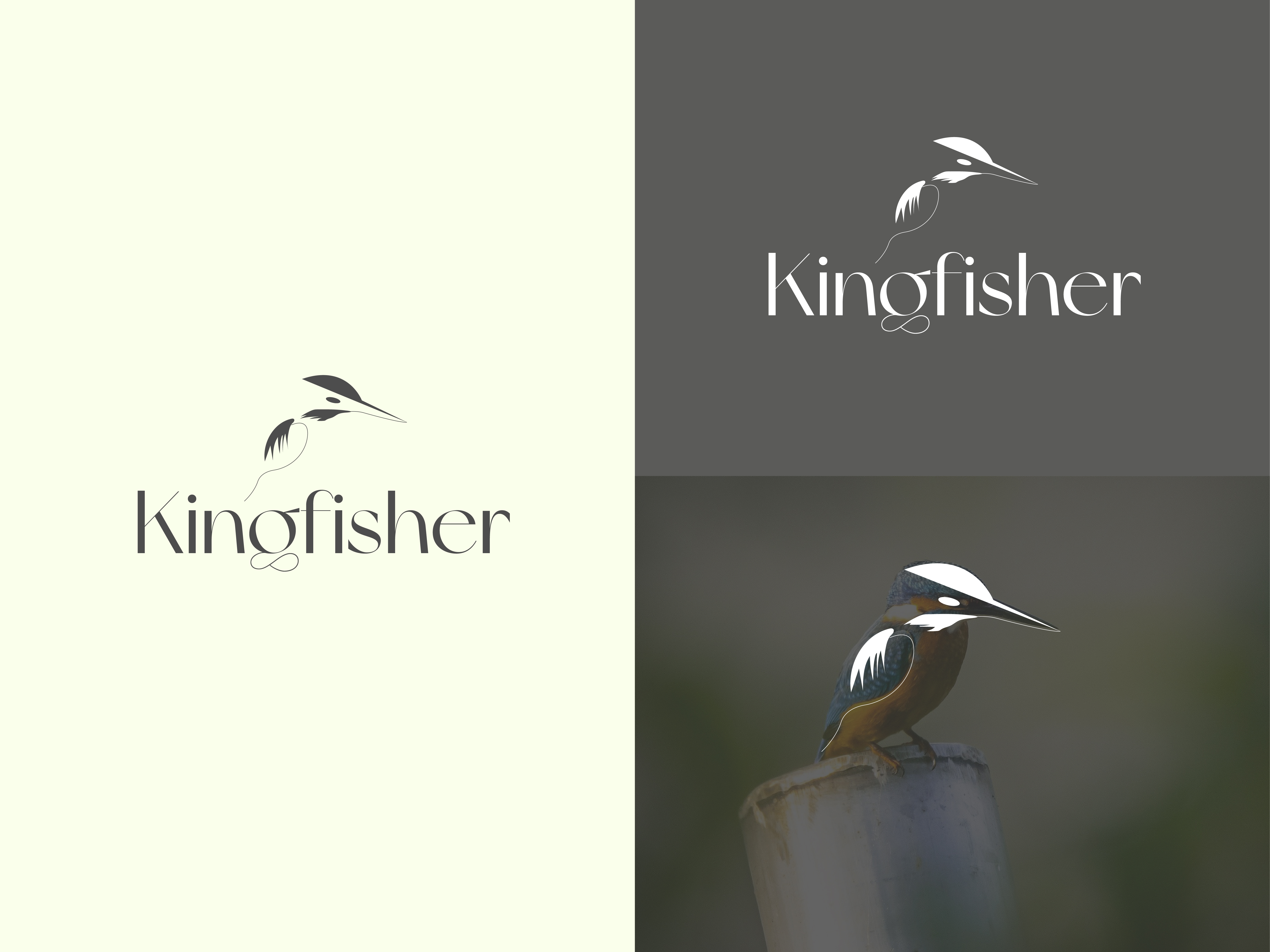 Kingfisher plc United Kingdom Logo Retail Company, kingfisher, company,  text png | PNGEgg