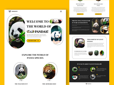 PANDAPATH clean design graphic design landing page ui ux web design
