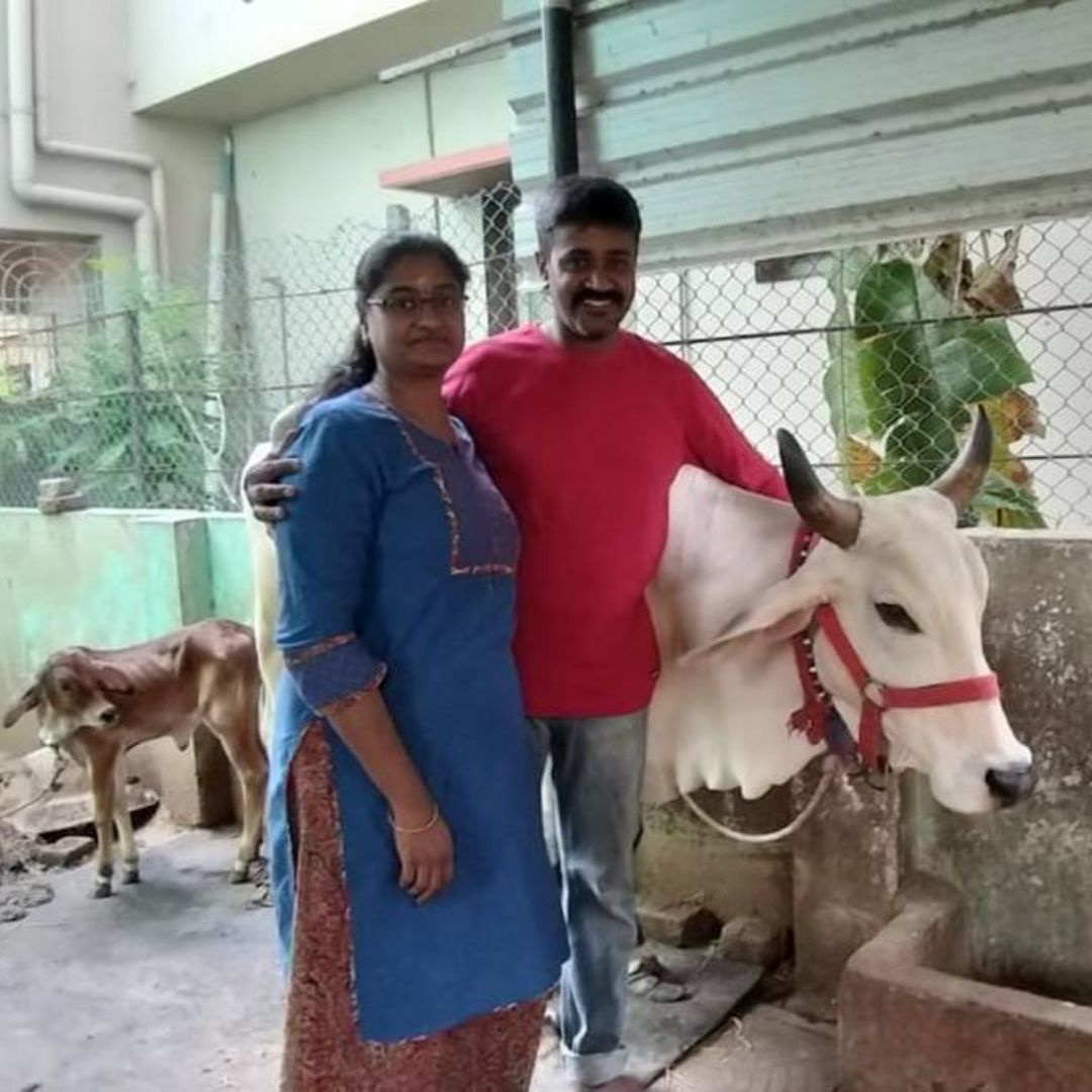 Dairy Farm In Chennai by Annam Milk on Dribbble