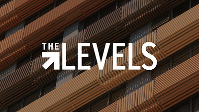 Filinvest The Levels - Website design digital marketing graphic design real estate social media ui ux website website development websitedesign