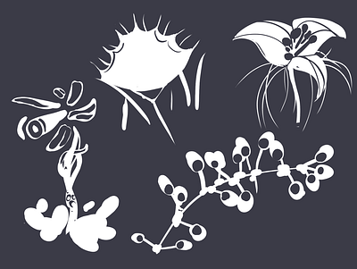 of this world clip studio paint concept art design experiment flower flowers illustration nature plants