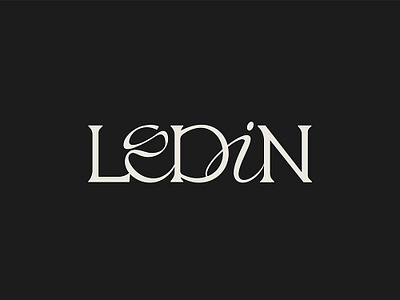 LEDIN LOGO and Branding Design 2d app branding contechtive design graphic design hashimvohra hashimvohra78 illustration insipiration logo muhammad packgaing tagtechnologies ui ux vector