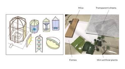 RENOVATED HỒ CON RÙA INTO A GREENHOUSE (Prototype Co-op) design thinking ideas illustration prototype renovation