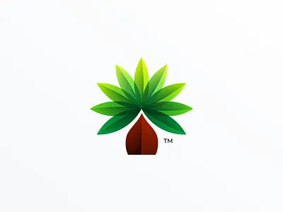 Palm Tree Logo Design brand branding colorful design green identity logo palm palm tree tree