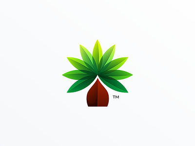 Palm Tree Logo Design brand branding colorful design green identity logo palm palm tree tree