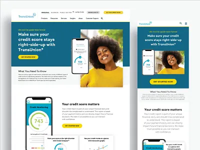TransUnion :: Homepage blue business credit credit report credit score credit theft financial fraud protection homepage identity thefy landing page mockup money risk score security uiux ux web design website