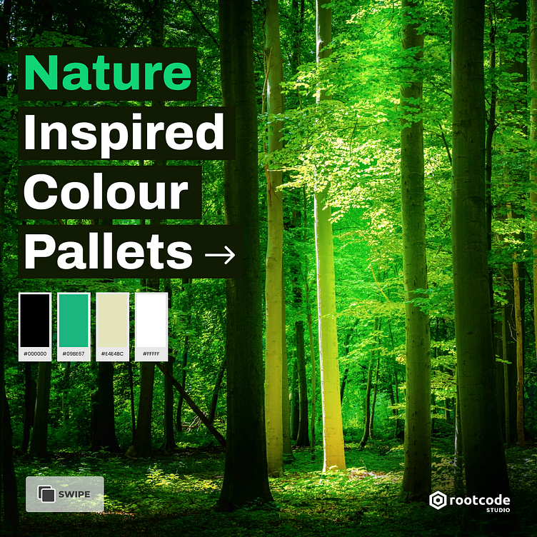 Nature Inspired Color Palettes By Rootcode Studio On Dribbble nature-inspired-color-palettes-by-rootcode-studio-on-dribbble