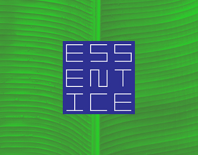 Essentice: A modern logo for a market section brand identity branding cosmetics design graphic design logo vector visual identity