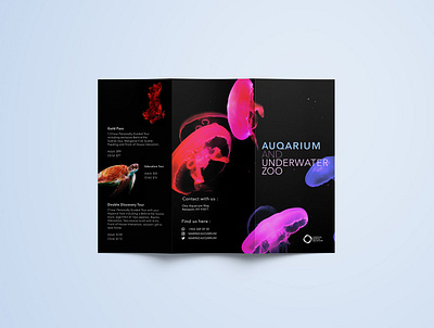 Brochure Design branding brochure graphic design illustration vector